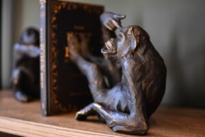 Lire la suite à propos de l’article La nouvelle boutique déco à Léon